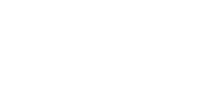 Petit VIP logo