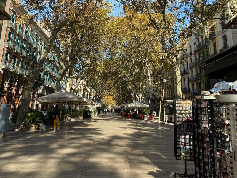 bonjour_barcelona_banners_600x800_2 bonjour_barcelona_banners_600x800_2