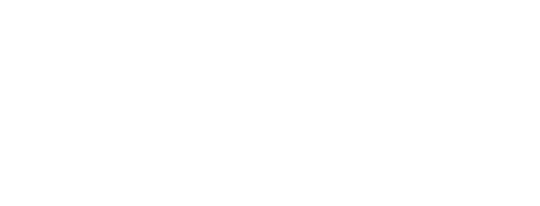 logo allopneus