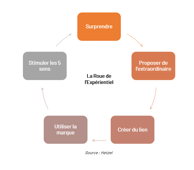 la-roue-expérientiel-hetzel