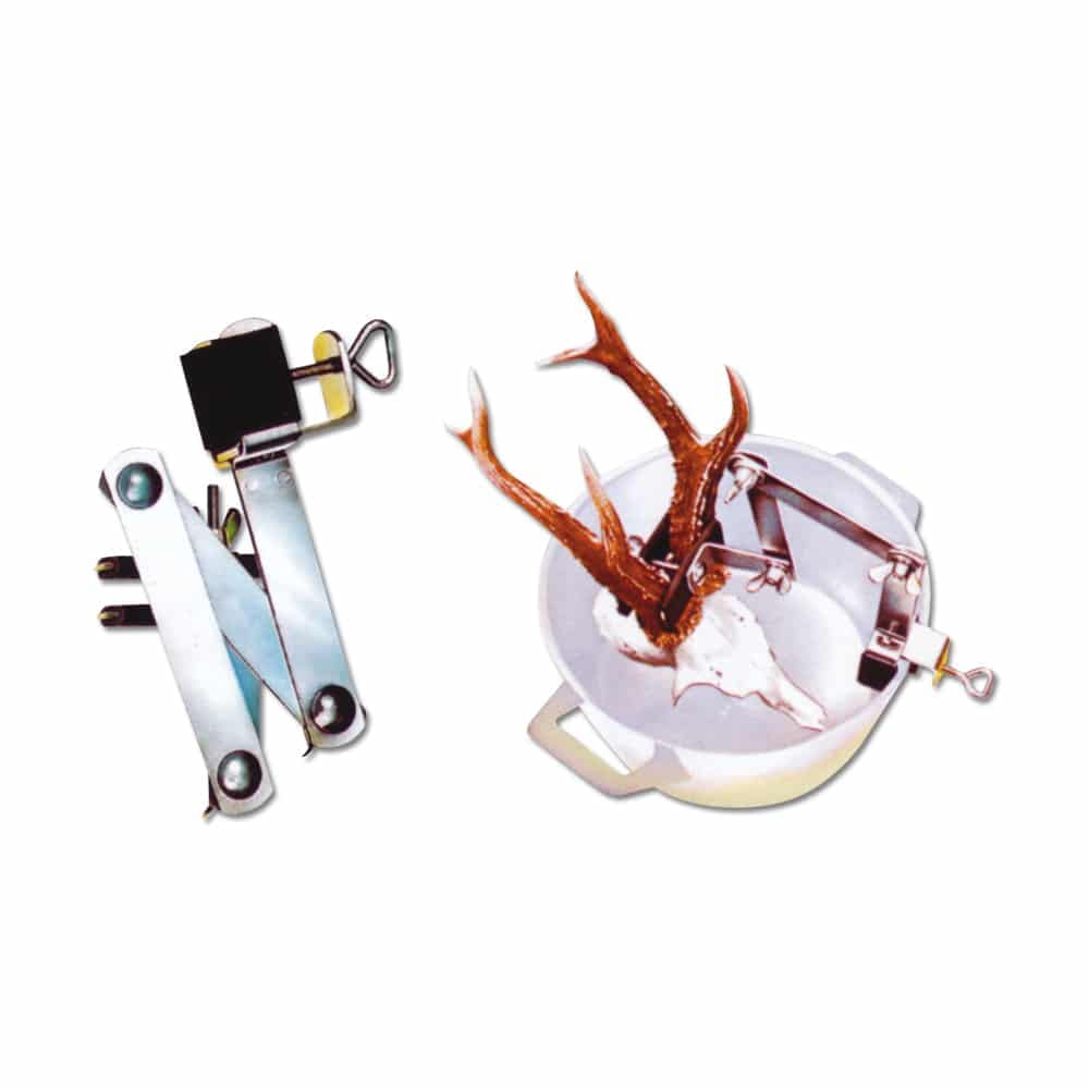 support à bouillir crane chevreuil Support à bouillir crâne chevreuil – Image 1