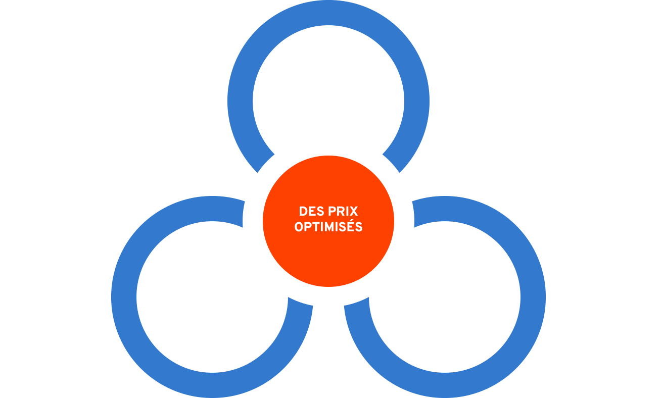 Paramètres utilisés par la saas de pricing pour optimiser les prix