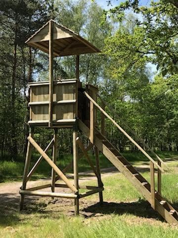 IMG-20250213-WA0002 Escaliers de meunier – Image 1