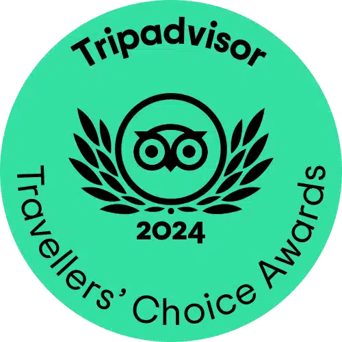 tripadvisor green winner