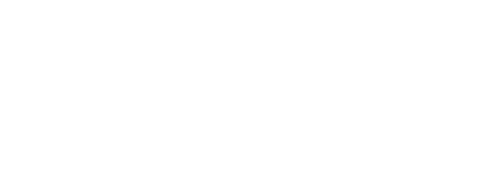 logo kingfisher