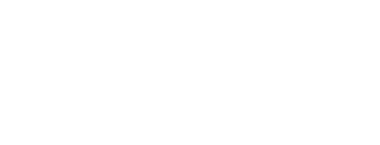 logo 1001 pneus