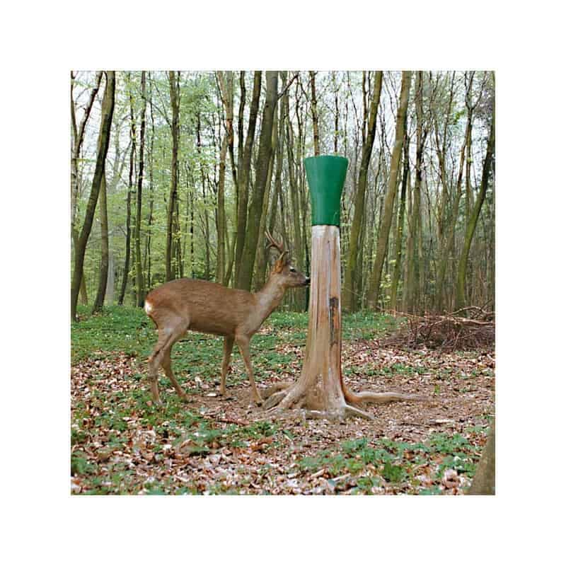 saline-vitex SALINE VITEX – Image 1